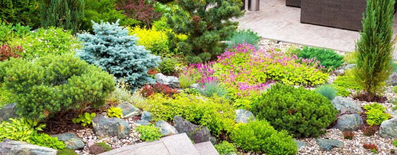 Park Landscaping in Honolulu, HI